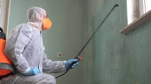 Best Mold Prevention Services  in USA